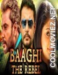 Baaghi The Rebel (2018) Hindi Dubbed South Movie