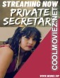 Private Secretary (2023) NeonX Original