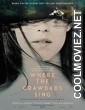 Where the Crawdads Sing (2022) Hindi Dubbed Movie