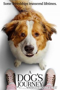 A Dogs Journey (2019) English Movie