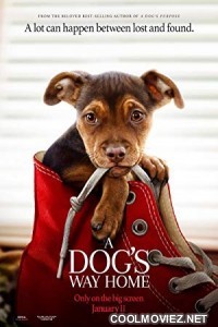 A Dogs Way Home (2019) English Movie