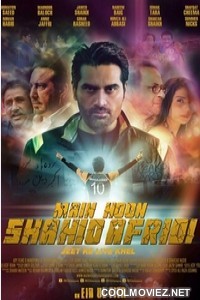 Main Hoon Shahid Afridi (2013) Punjabi Movie