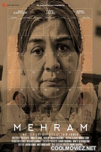 Mehram (2017) Hindi Movie
