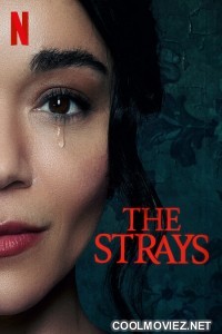 The Strays (2023) Hindi Dubbed Movie